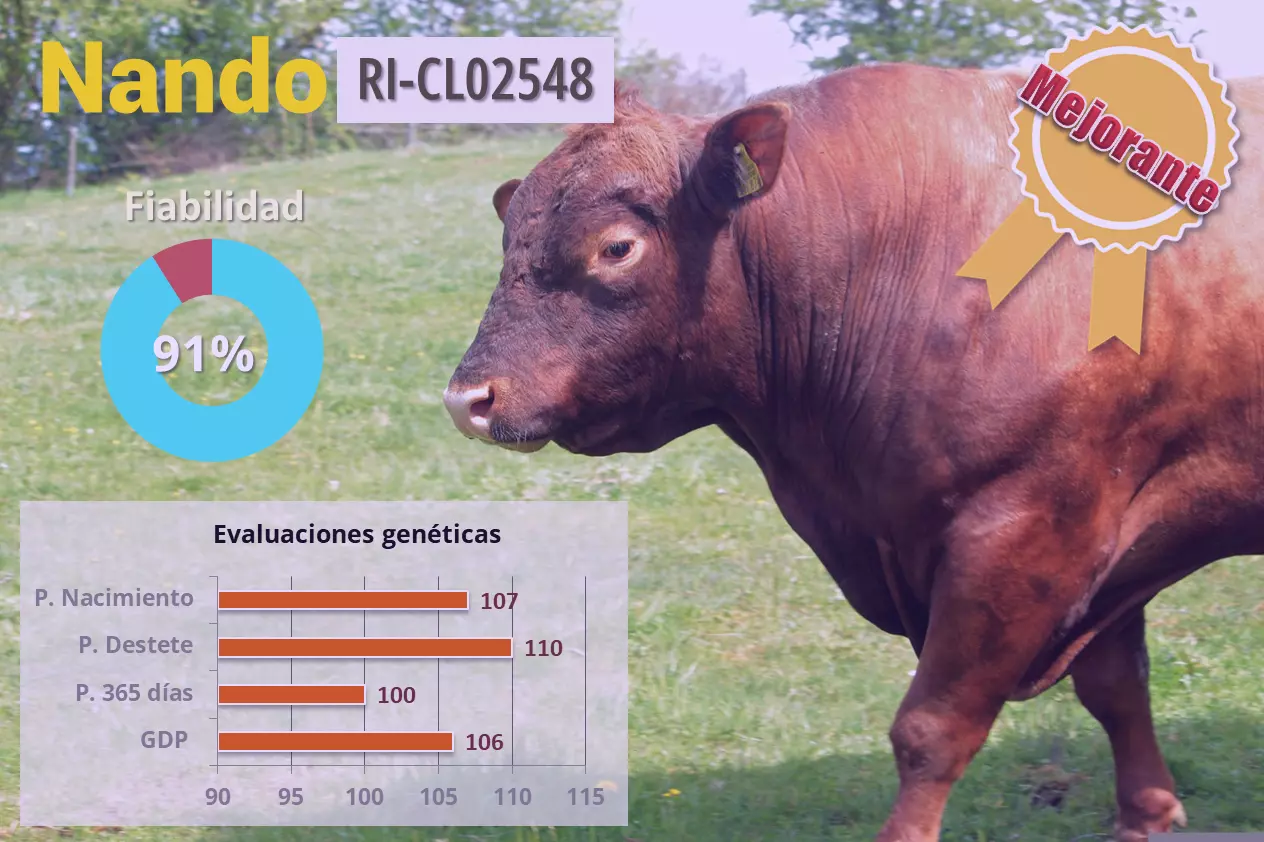 ADN meterial genético de los animales